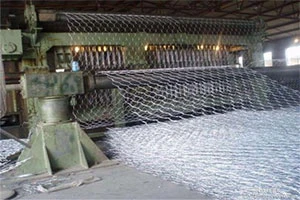 Gabion cage 4.jpg Gabion cage 4.jpg